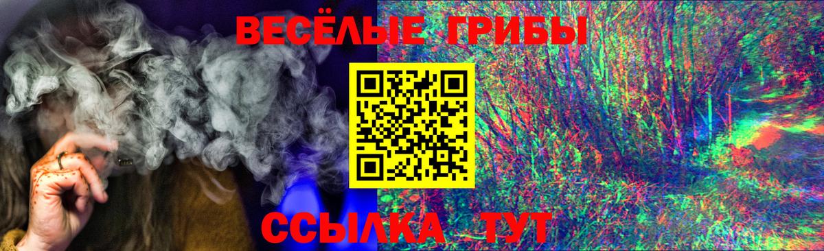 Псилоцибиновые грибы MAGIC MUSHROOMS  Вход с VPN  Ревда 